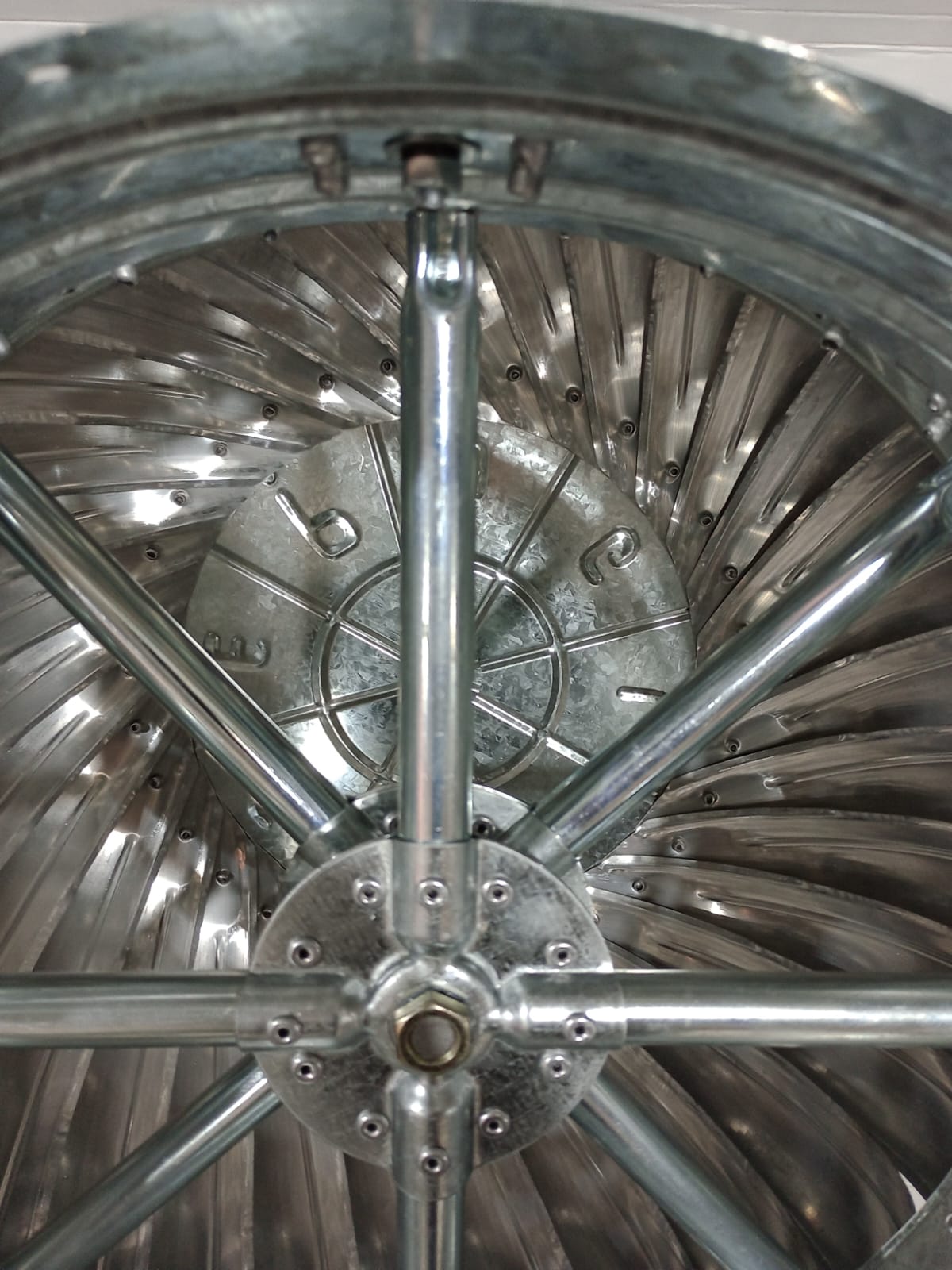 WhatsApp Image 2025-08-26 at 4.48.20 PM.jpeg