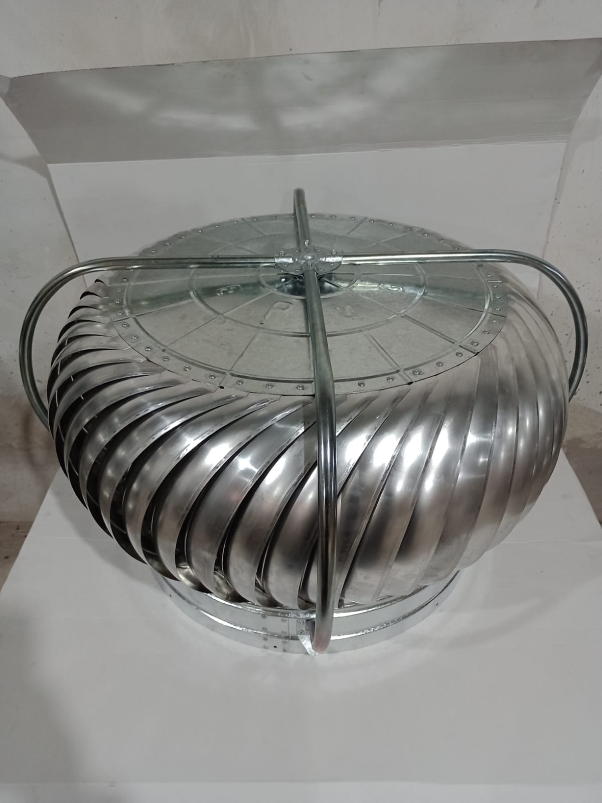 WhatsApp Image 2025-08-26 at 4.48.53 PM.jpeg