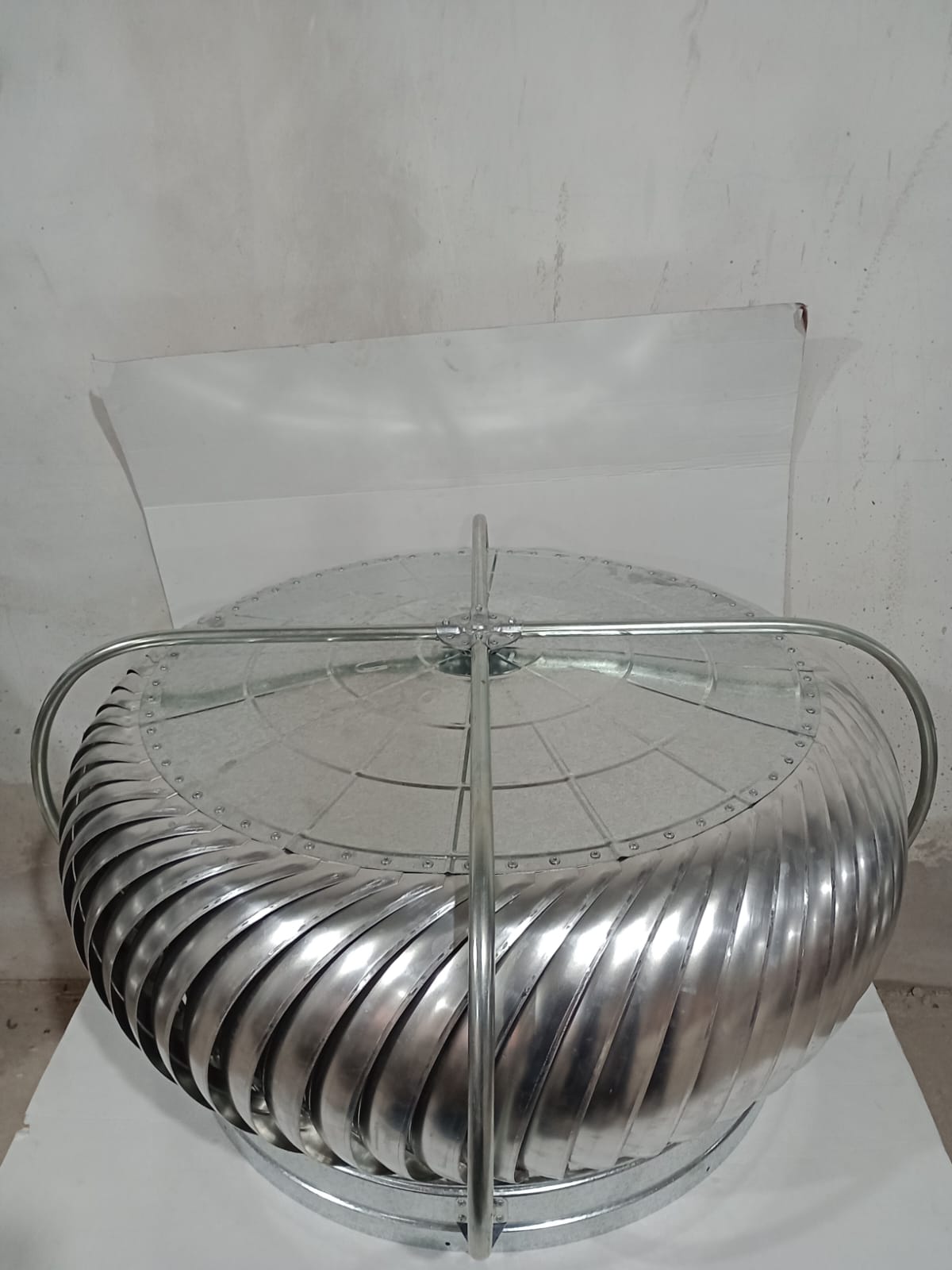 WhatsApp Image 2025-08-26 at 4.49.20 PM.jpeg