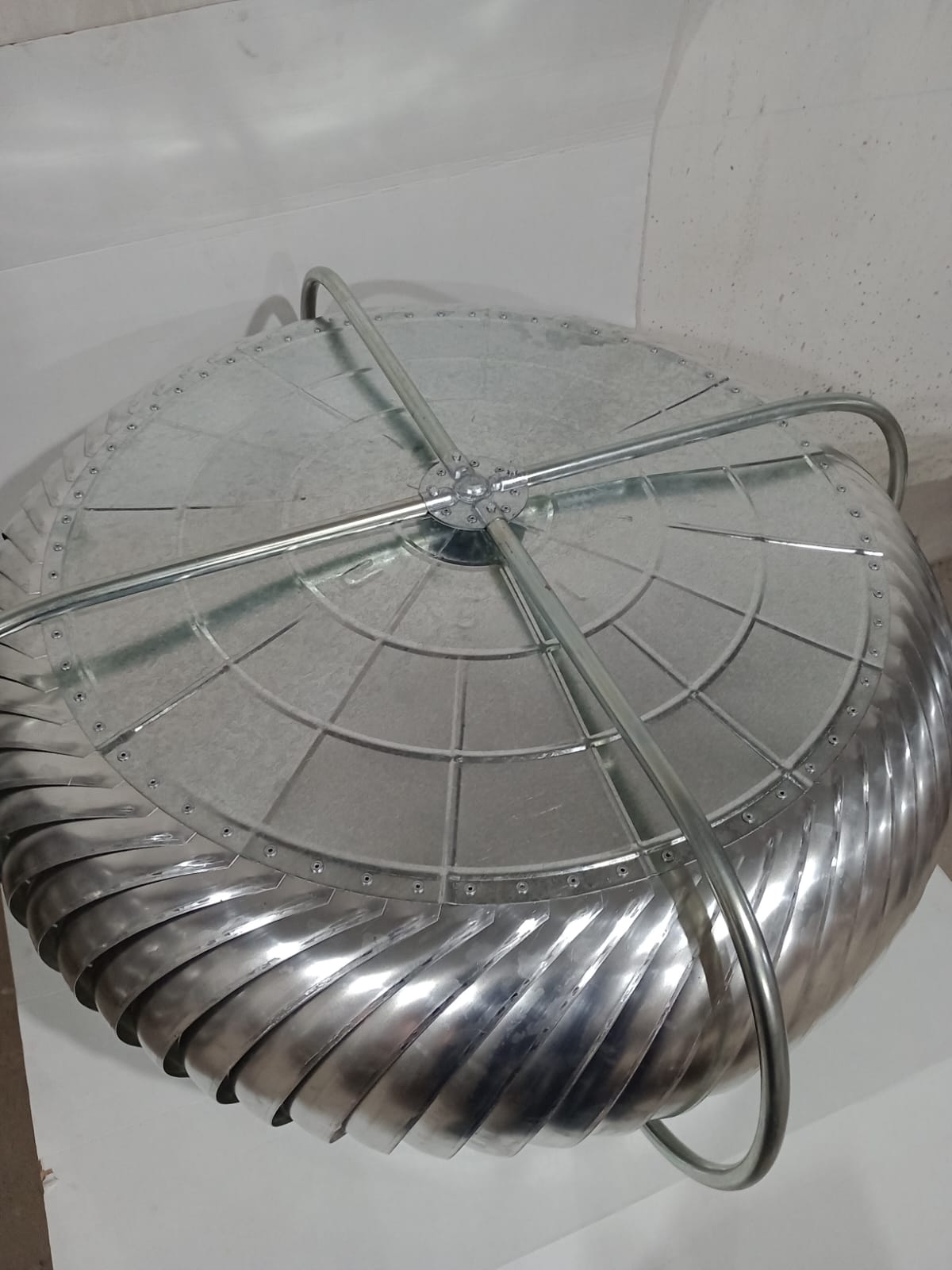 WhatsApp Image 2025-08-26 at 4.49.23 PM.jpeg