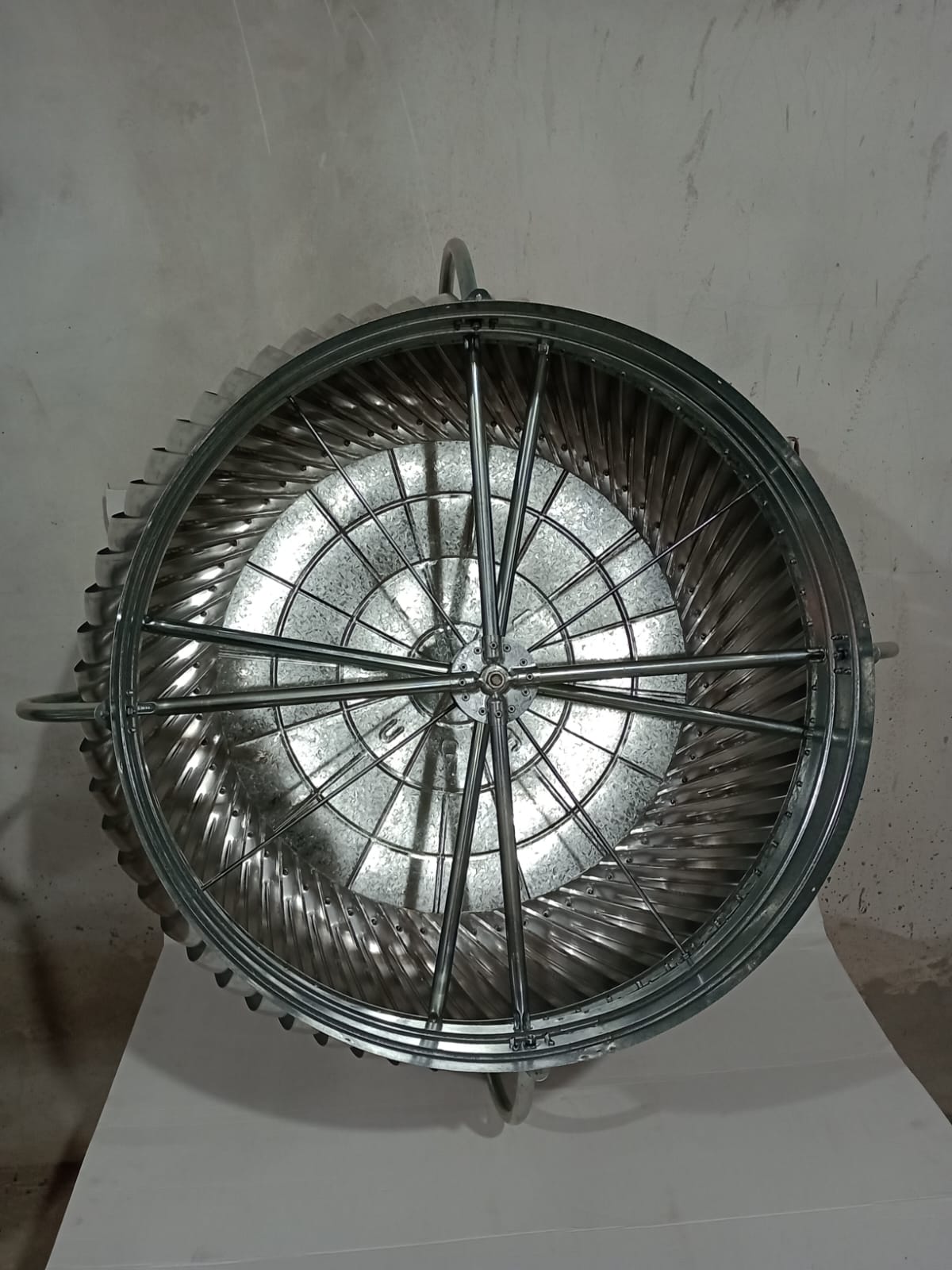 WhatsApp Image 2025-08-26 at 4.49.24 PM (3).jpeg