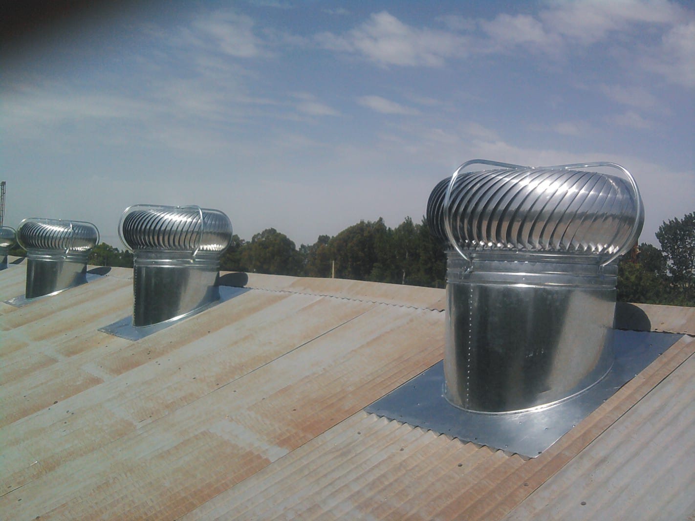 WhatsApp Image 2025-08-26 at 4.53.25 PM (1).jpeg