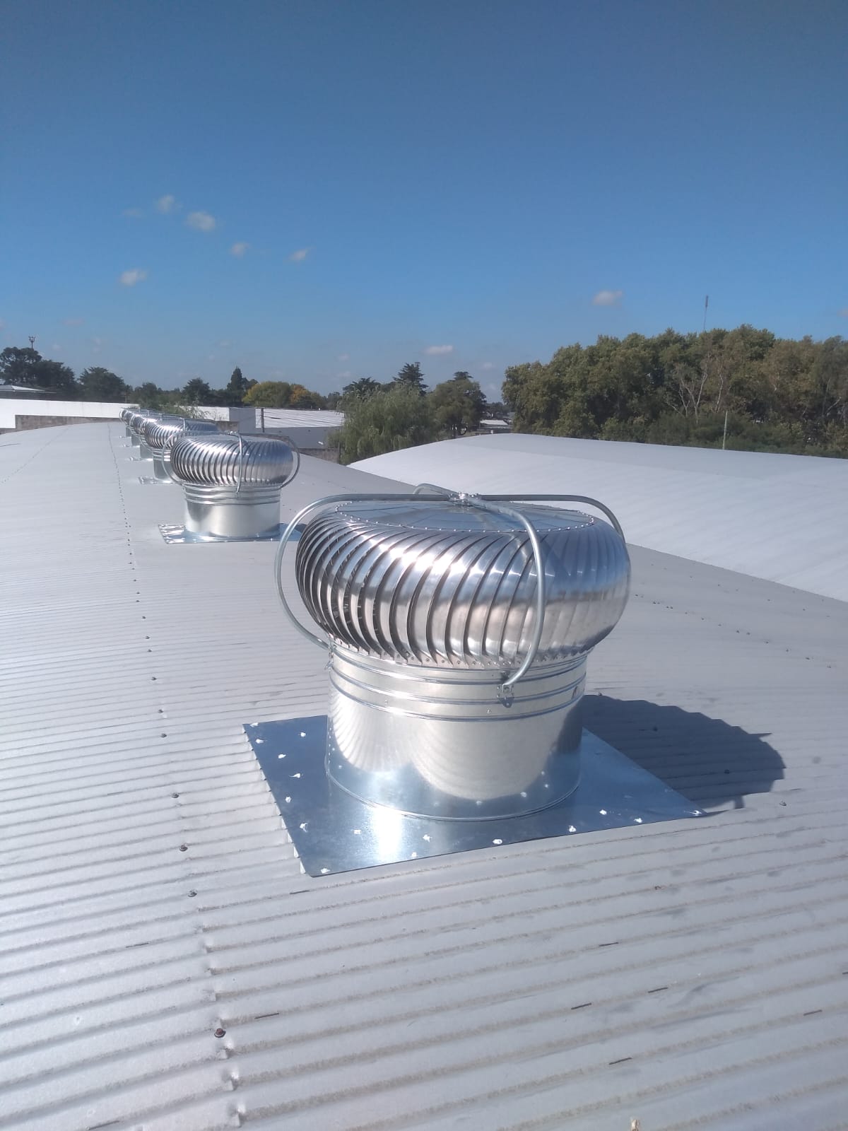 WhatsApp Image 2025-08-26 at 4.53.28 PM.jpeg